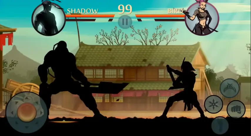 shadow vs bird